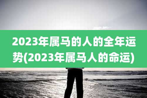 2023年属马的人的全年运势(2023年属马人的命运)