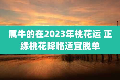 属牛的在2023年桃花运 正缘桃花降临适宜脱单