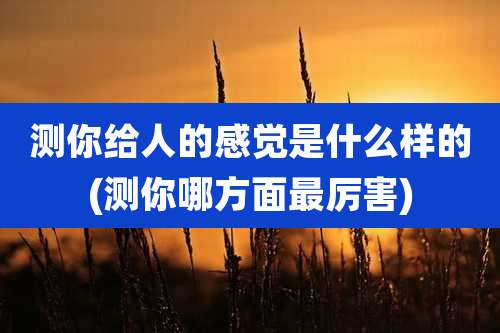 测你给人的感觉是什么样的(测你哪方面最厉害)