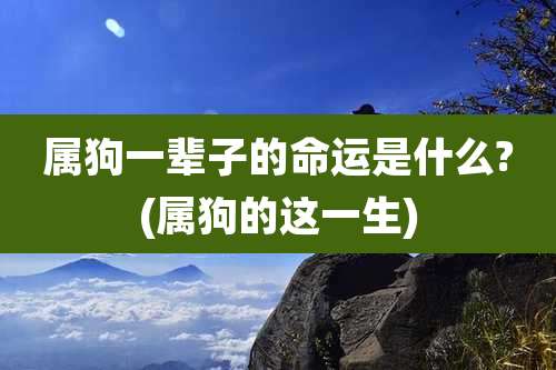 属狗一辈子的命运是什么?(属狗的这一生)