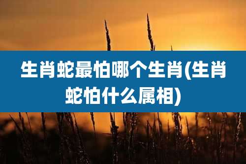 生肖蛇最怕哪个生肖(生肖蛇怕什么属相)
