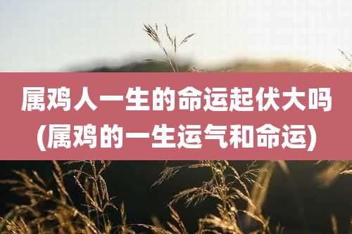 属鸡人一生的命运起伏大吗(属鸡的一生运气和命运)