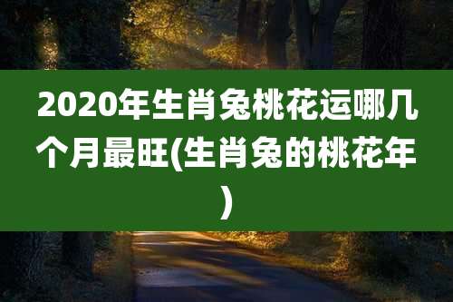 2020年生肖兔桃花运哪几个月最旺(生肖兔的桃花年)