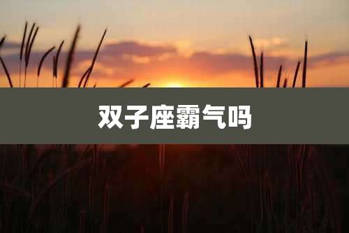 双子座霸气吗