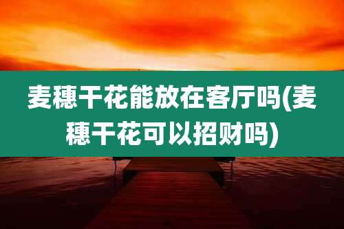麦穗干花能放在客厅吗(麦穗干花可以招财吗)