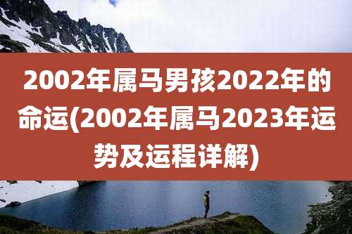 2002年属马男孩2022年的命运(2002年属马2023年运势及运程详解)