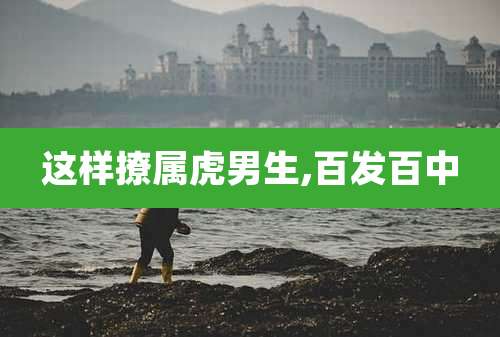 这样撩属虎男生,百发百中