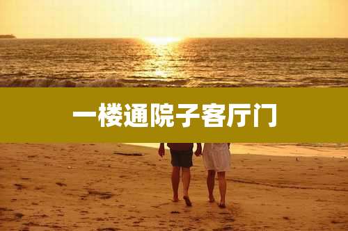 一楼通院子客厅门