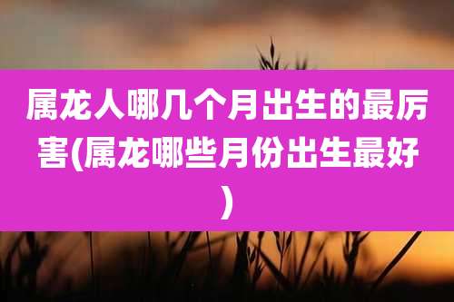 属龙人哪几个月出生的最厉害(属龙哪些月份出生最好)