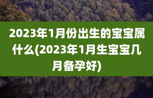 2023年1月份出生的宝宝属什么(2023年1月生宝宝几月备孕好)