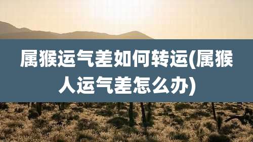 属猴运气差如何转运(属猴人运气差怎么办)