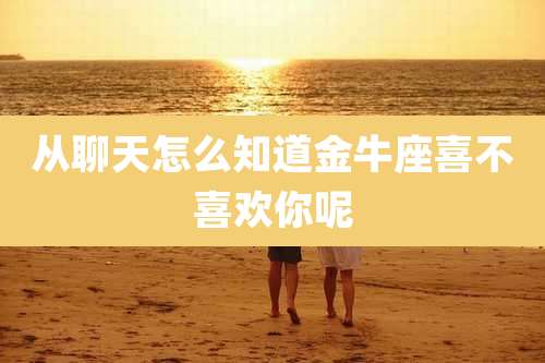 从聊天怎么知道金牛座喜不喜欢你呢