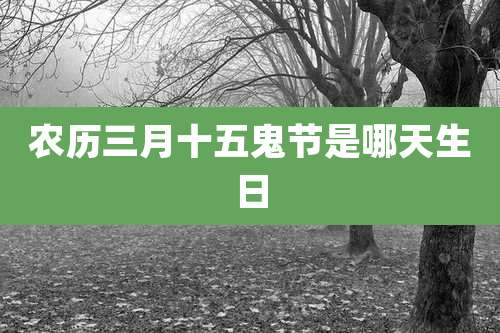 农历三月十五鬼节是哪天生日