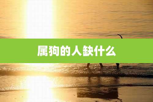 属狗的人缺什么