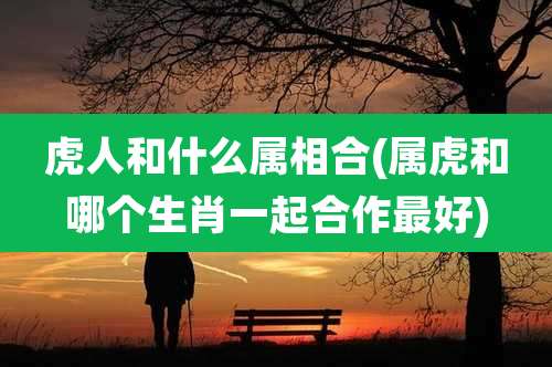 虎人和什么属相合(属虎和哪个生肖一起合作最好)