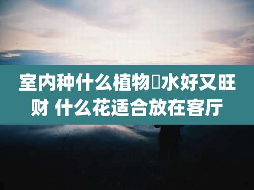 室内种什么植物風水好又旺财 什么花适合放在客厅
