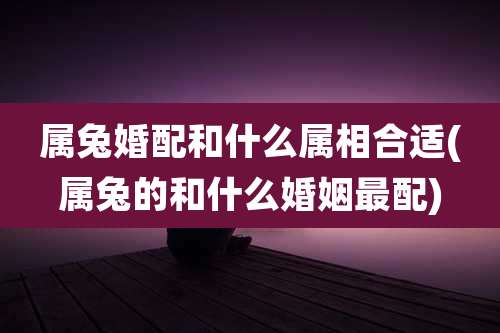 属兔婚配和什么属相合适(属兔的和什么婚姻最配)