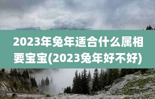 2023年兔年适合什么属相要宝宝(2023兔年好不好)