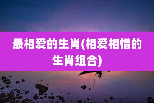 最相爱的生肖(相爱相惜的生肖组合)