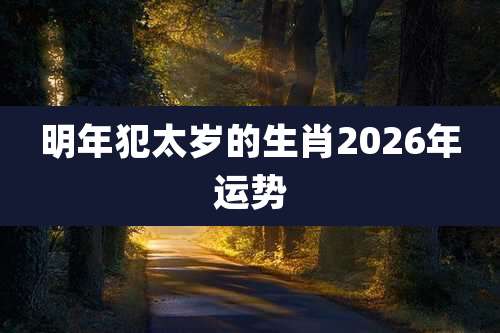 明年犯太岁的生肖2026年运势