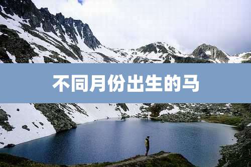 不同月份出生的马