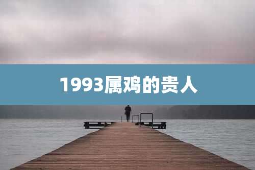 1993属鸡的贵人
