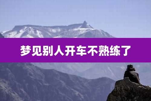 梦见别人开车不熟练了
