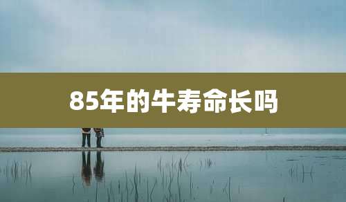 85年的牛寿命长吗