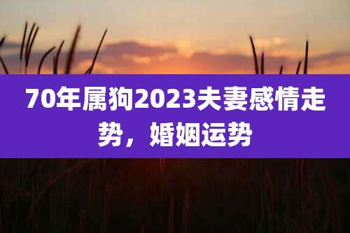 70年属狗2023夫妻感情走势，婚姻运势