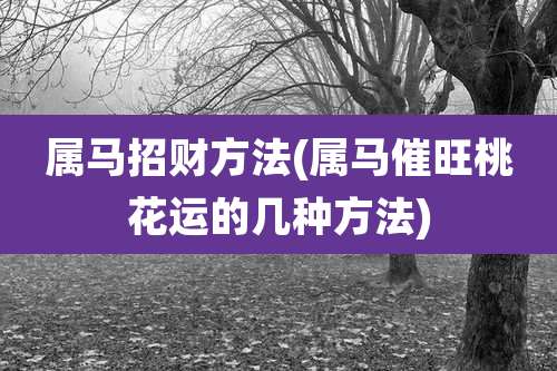 属马招财方法(属马催旺桃花运的几种方法)