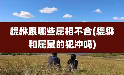 貔貅跟哪些属相不合(貔貅和属鼠的犯冲吗)