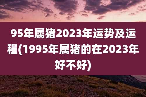 95年属猪2023年运势及运程(1995年属猪的在2023年好不好)