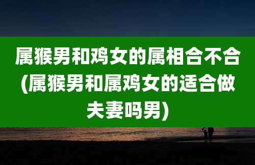 属猴男和鸡女的属相合不合(属猴男和属鸡女的适合做夫妻吗男)