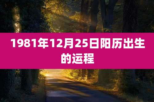 1981年12月25日阳历出生的运程