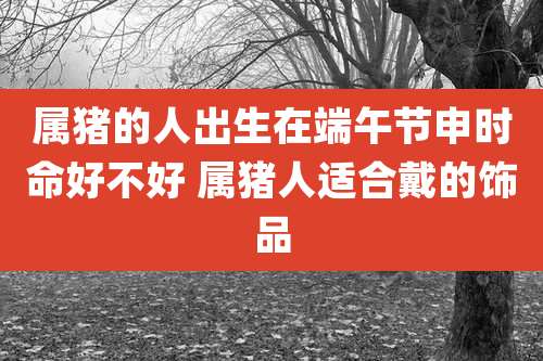 属猪的人出生在端午节申时命好不好 属猪人适合戴的饰品