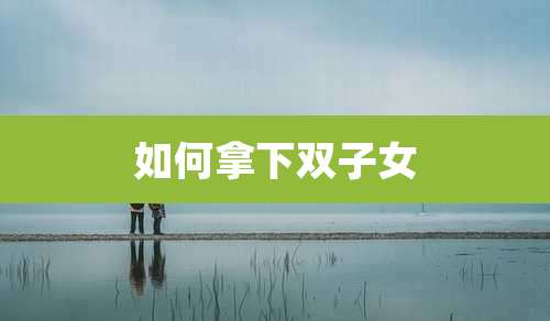 如何拿下双子女