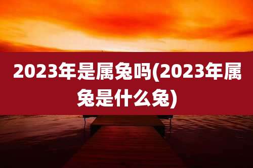 2023年是属兔吗(2023年属兔是什么兔)
