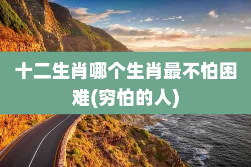 十二生肖哪个生肖最不怕困难(穷怕的人)