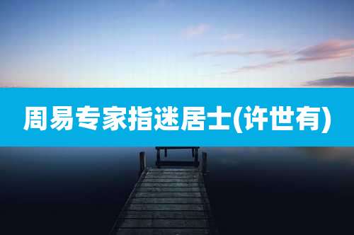 周易专家指迷居士(许世有)