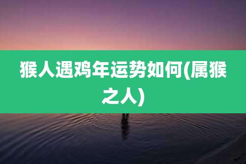 猴人遇鸡年运势如何(属猴之人)
