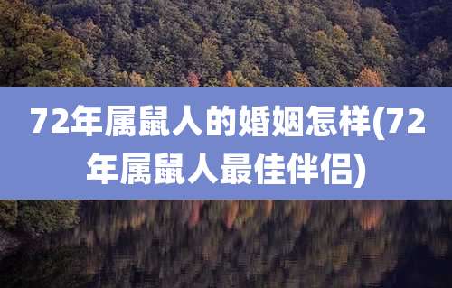 72年属鼠人的婚姻怎样(72年属鼠人最佳伴侣)