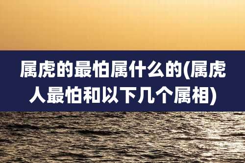 属虎的最怕属什么的(属虎人最怕和以下几个属相)