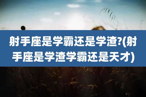 射手座是学霸还是学渣?(射手座是学渣学霸还是天才)