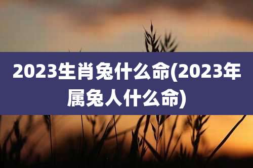 2023生肖兔什么命(2023年属兔人什么命)