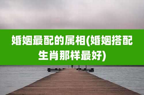 婚姻最配的属相(婚姻搭配生肖那样最好)