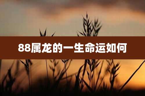 88属龙的一生命运如何