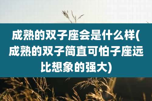 成熟的双子座会是什么样(成熟的双子简直可怕子座远比想象的强大)