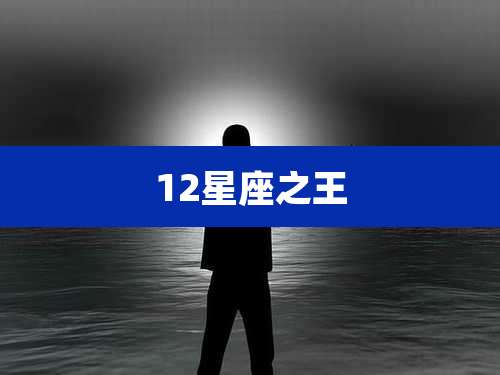 12星座之王