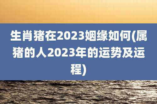 生肖猪在2023姻缘如何(属猪的人2023年的运势及运程)