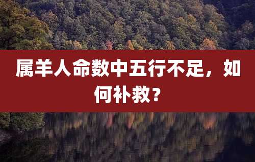 属羊人命数中五行不足，如何补救？